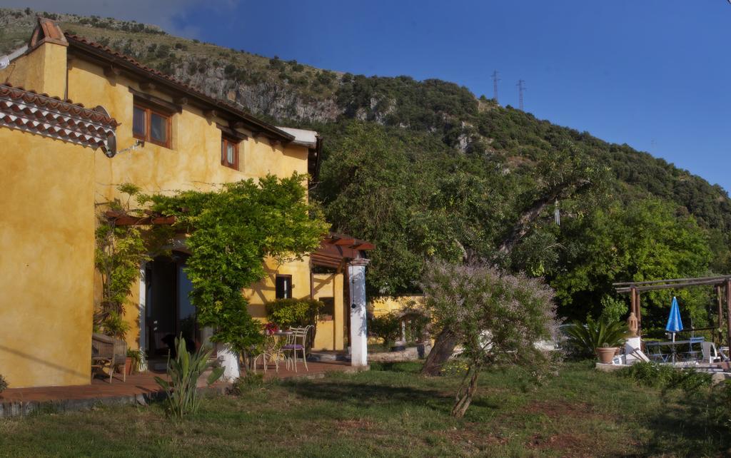 B&B Calandrella Maratea Buitenkant foto